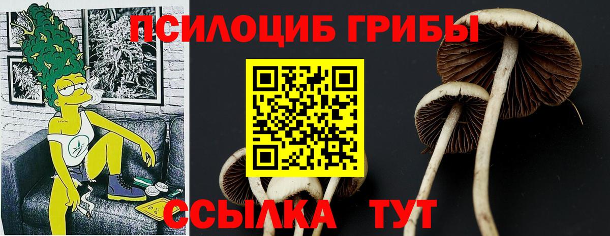 где найти наркотики  Вход с VPN  Дубна  Галлюциногенные грибы мухоморы 