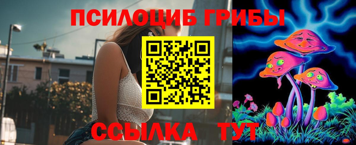 Псилоцибиновые грибы MAGIC MUSHROOMS Дубна